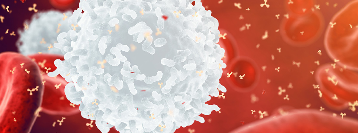Wpływ przeciwciał antyfosfolipidowych na przebieg kliniczny małopłytkowości immunologicznej - doświadczenia ośrodka w Padwie
