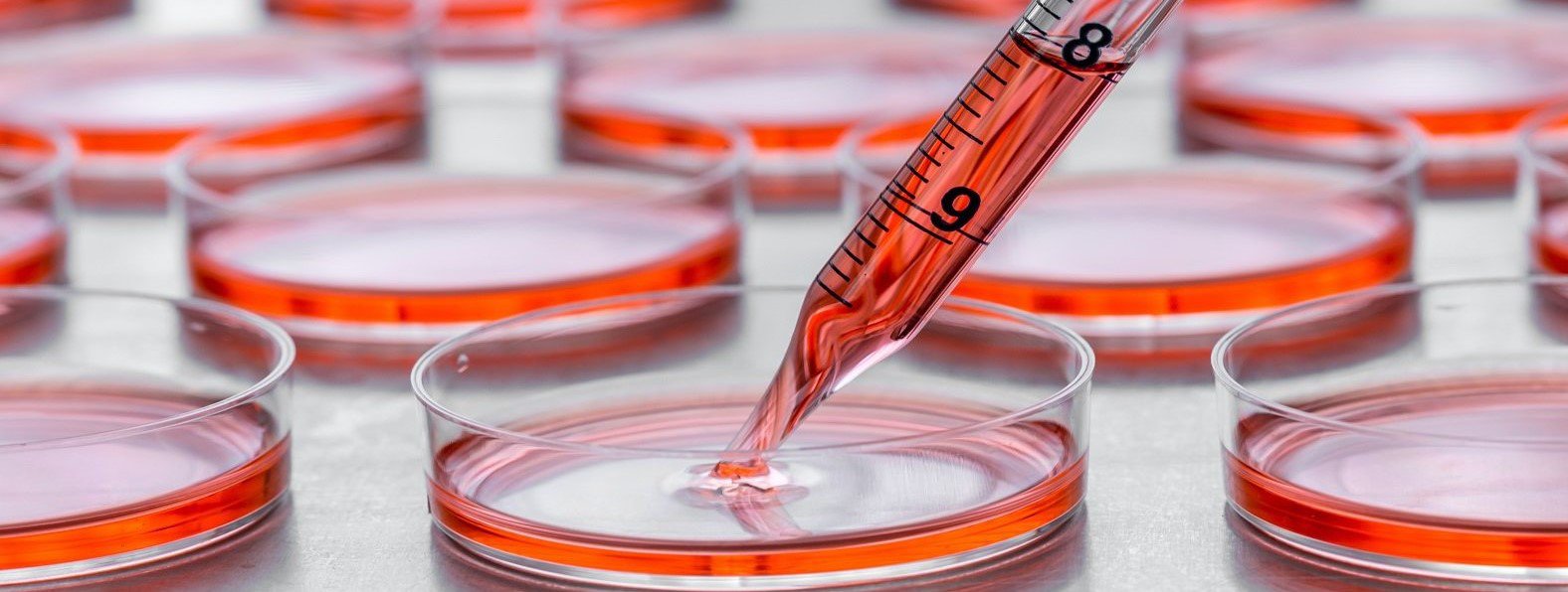 Nowatorskie metody leczenia małopłytkowości immunologicznej
