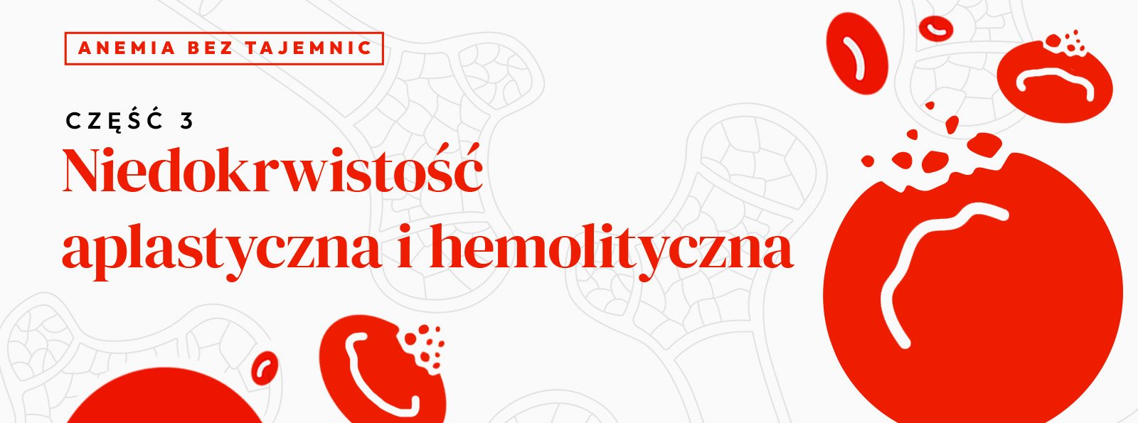 Niedokrwistość aplastyczna i hemolityczna. Anemia bez tajemnic | Cz. 3