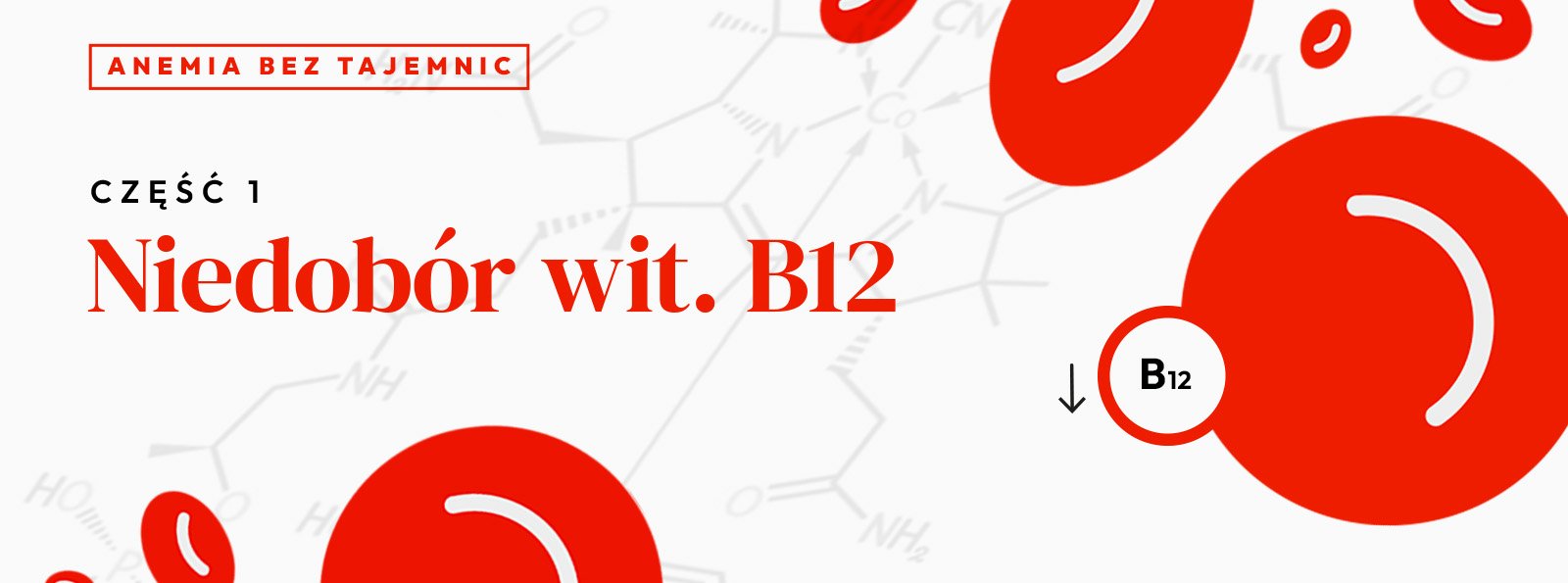 Niedobór wit. B12. Anemia bez tajemnic | Cz. 1