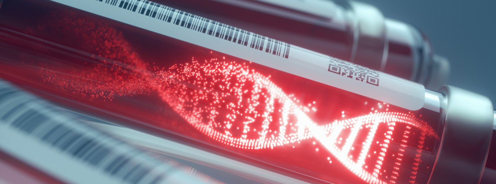 Mutacje genu MTHFR – informacja dla pacjentów