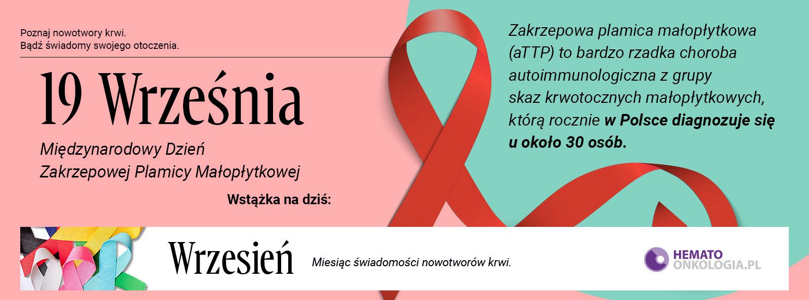 19 września – Międzynarodowy Dzień Zakrzepowej Plamicy Małopłytkowej