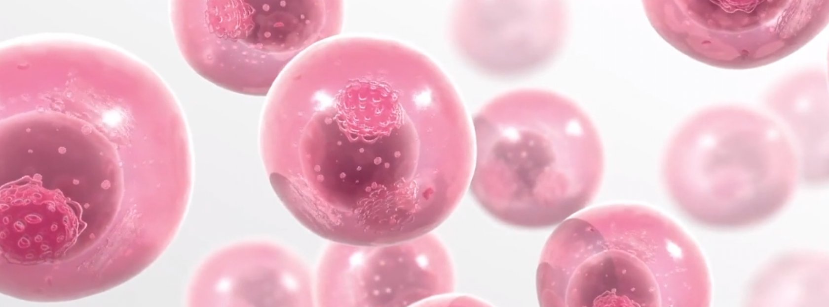Leczenie choroby von Willebranda – wytyczne 2021 (ASH, ISTH, NHF, WFH) część II –  postępowanie okołooperacyjne, okołoporodowe i w przypadku krwotocznych miesiączek