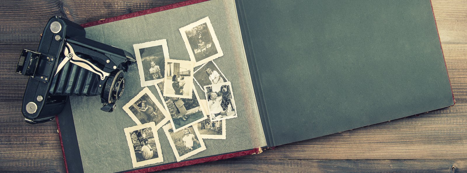 Hemofilia. Rodzinna historia choroby (8): Na początku był Roch