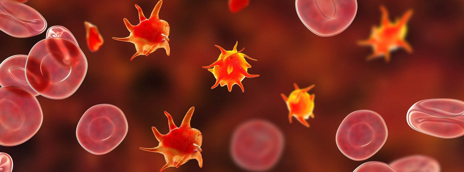 Ryzyko powikłań krwotocznych i zakrzepowych u pacjentów z pierwotną małopłytkowością immunologiczną