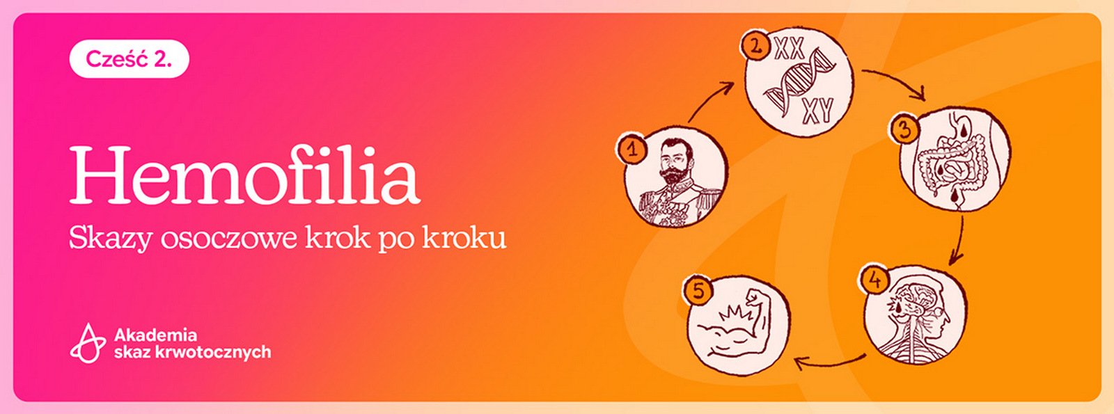 W Światowy Dzień Chorych na Hemofilię o hemofilii A i B. Skazy osoczowe krok po kroku | Cz. 2