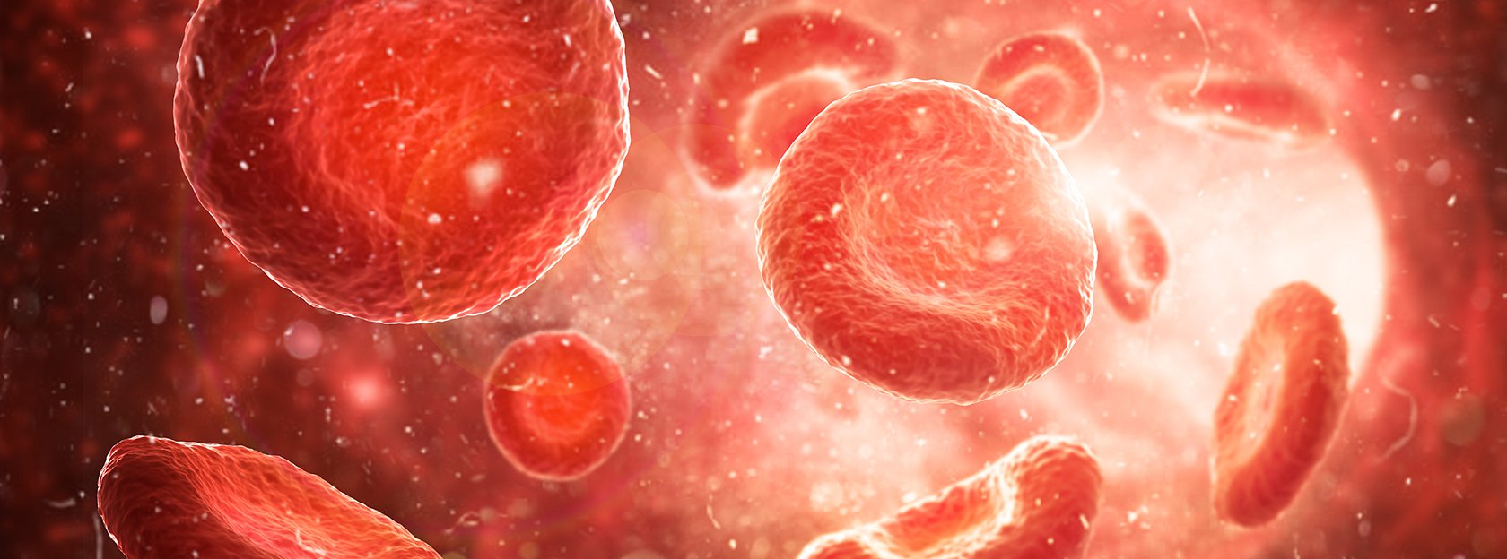 Zastosowanie Haemate P u pacjentów z chorobą von Willebranda oraz w indukcji immunotolerancji u chorych na hemofilię A powikłaną inhibitorem